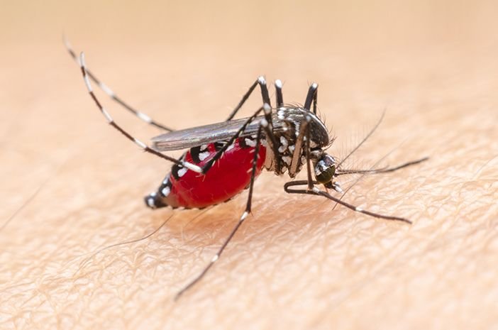 Dinkes Sumut Perpanjang Status KLB Malaria dan DBD di Nias Selatan