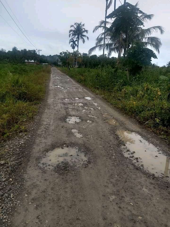 Jalan Penghubung Empat Desa di Nias Rusak Parah, Warga Keluhkan Janji Pemerintah