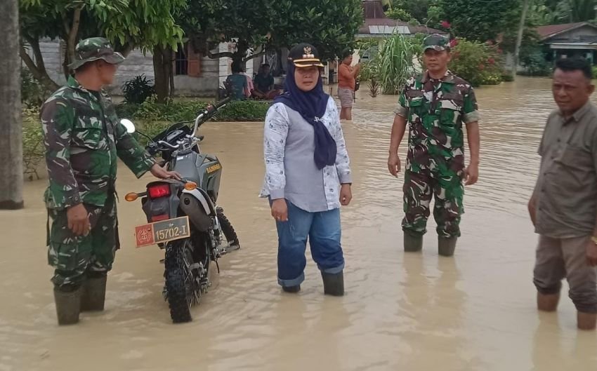 Camat Dolokmasihul dan Forkopimcam Pantau Banjir di Desa Bukitcermin Hilir