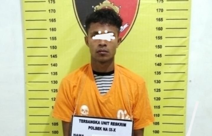 Polsek NA IX-X Labuhanbatu Bekuk Terduga Pengedar Sabu di Labura