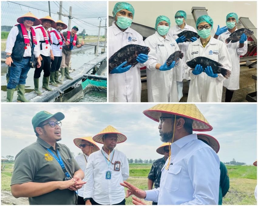 Deputi Kemenko Pangan Kunjungi RSI Tinjau Proses Pengolahan Ikan Tilapia