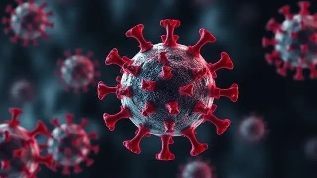 Virus HMPV Mulai Menyebar di Indonesia, Tetap Tenang dan Lakukan Pencegahan