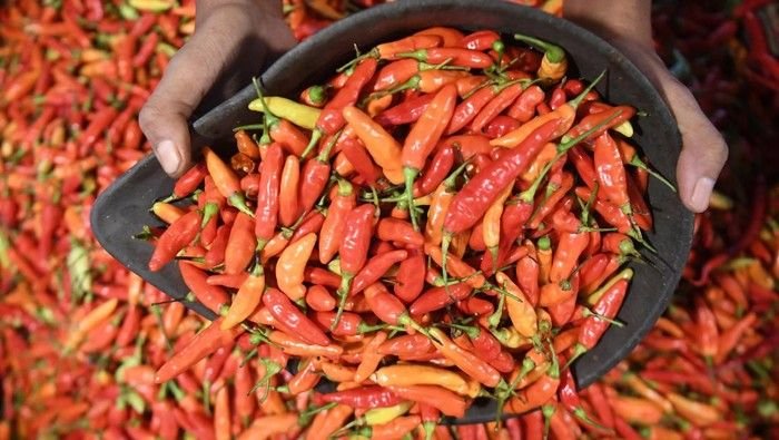 Biang Kerok Kenaikan Harga Cabai Hingga Rp110.000 di Jakarta