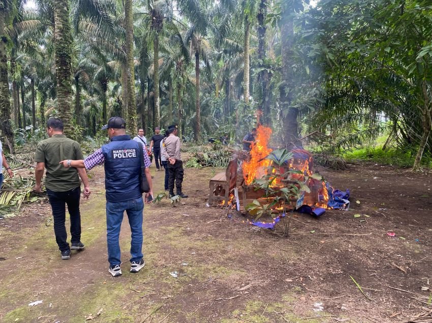 Barak Narkoba di Sei Bingei Kembali Digrebek Polres Binjai, Satu Orang Diamankan