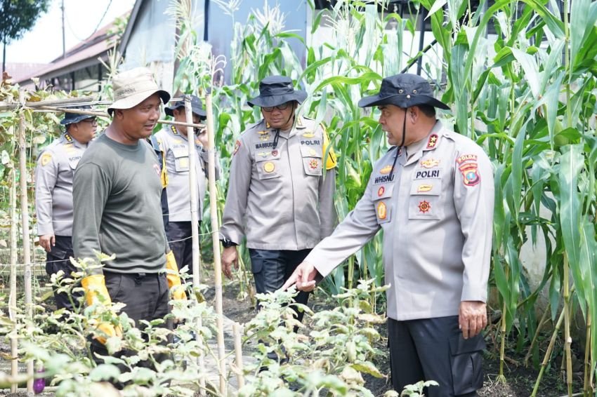 Kapolda Sumut Tinjau Lokasi Ketahanan Pangan di Mako Brimob
