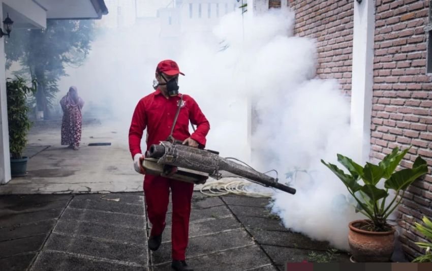 Kemenkes Imbau Waspada DBD di Musim Hujan, Kasus Capai 6.050 dalam Sebulan