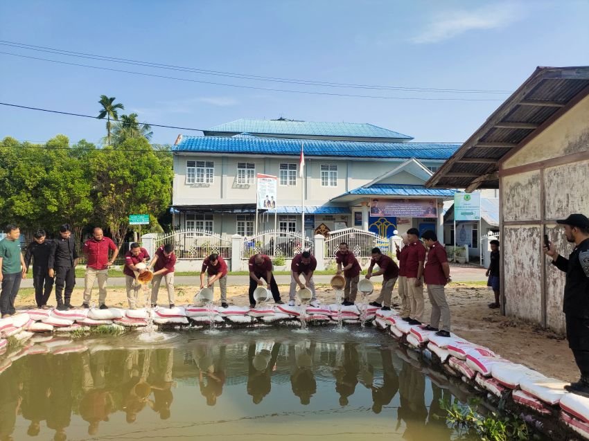 Lapas Barus Tabur Benih Ikan Nila