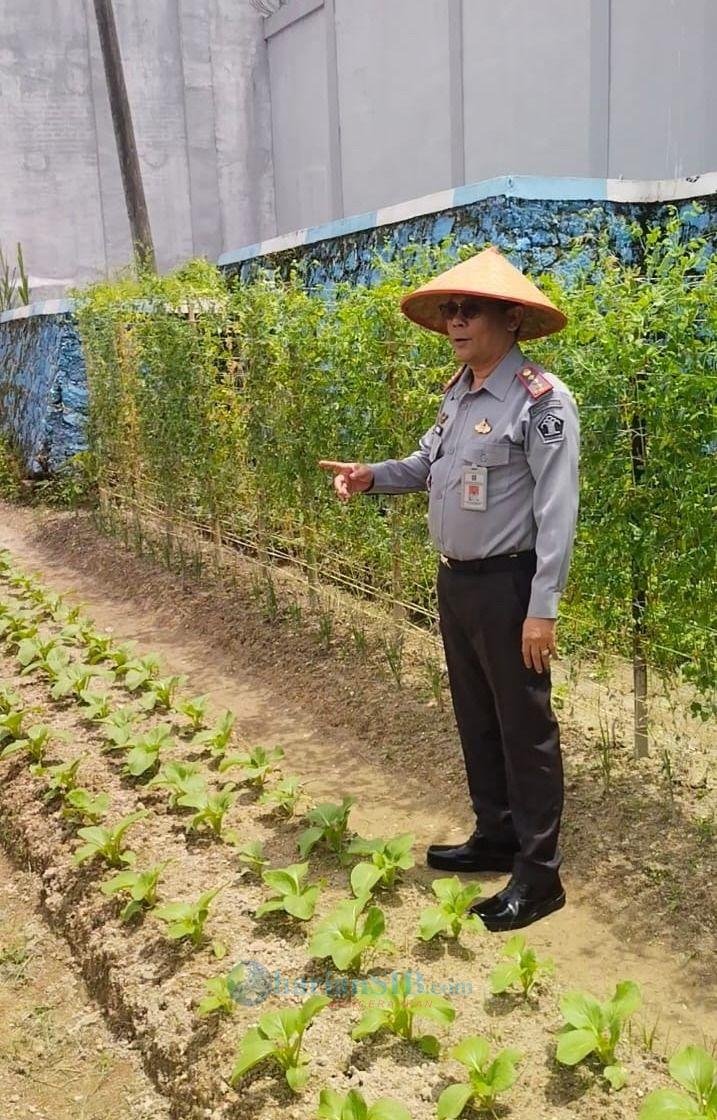 Kalapas Narkotika Pematangsiantar Tinjau Lahan Tanam Sayur Pakcoy