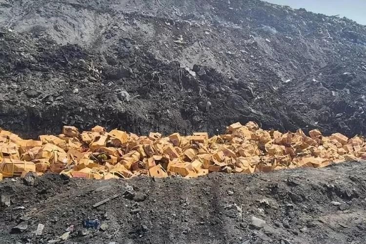 Terdeteksi Pewarna Kuning, Thailand Kubur 64,7 Ton Durian