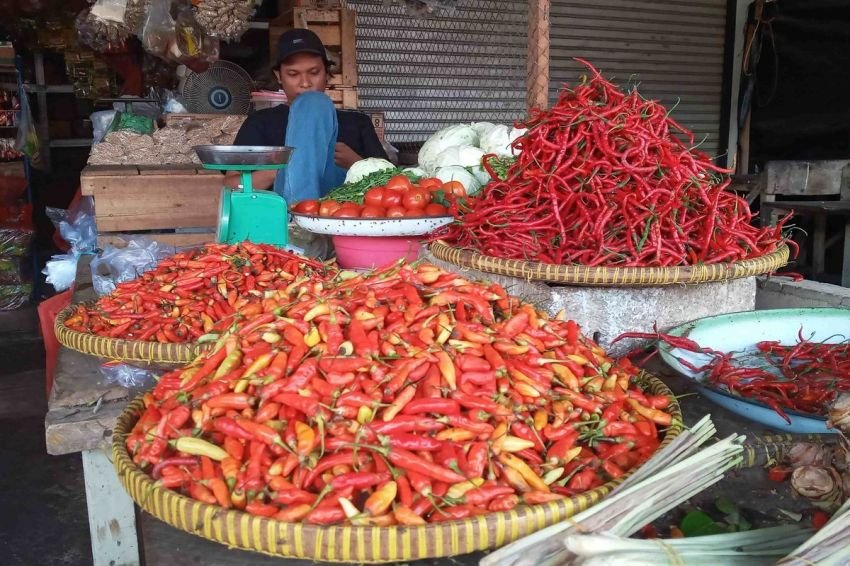 Setelah Sempat Sentuh 100.000/ Kg, Harga Cabai Anjlok Namun Masih Bertahan Mahal