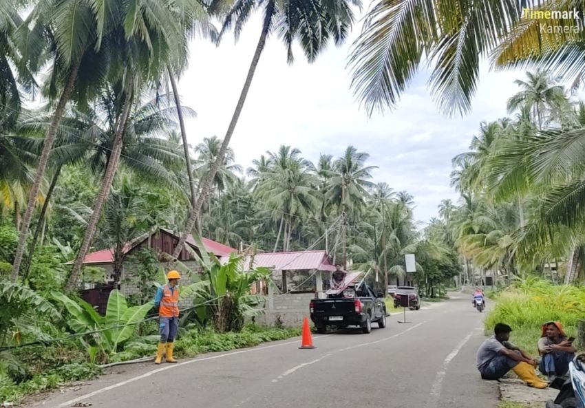 Ancam Keselamatan Warga, PLN Perbaiki Kabel Listrik yang Terjuntai ke Tanah  di Nisel