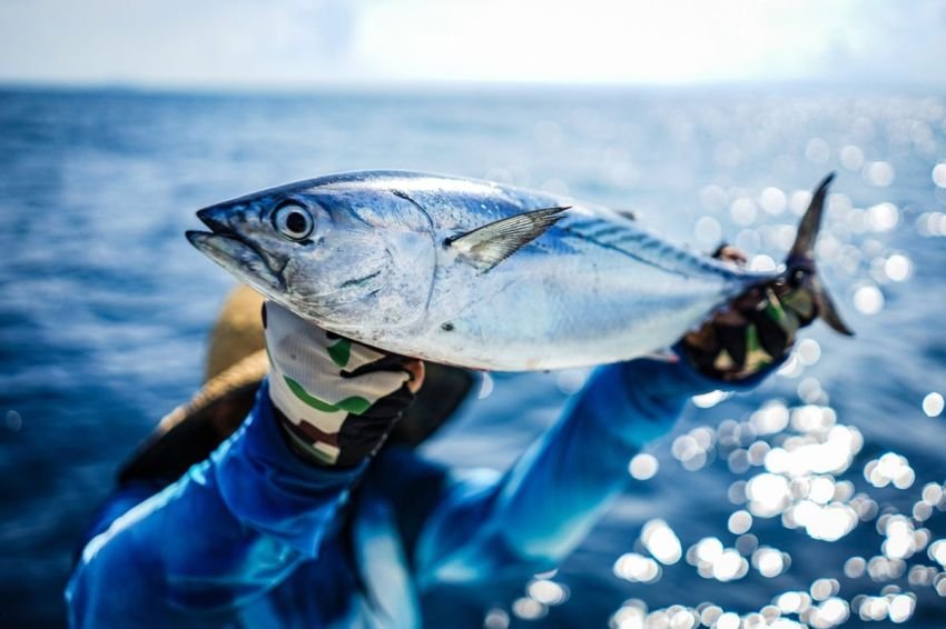 4 Nelayan Indonesia Gugat Perusahaan Raksasa Tuna Kalengan AS