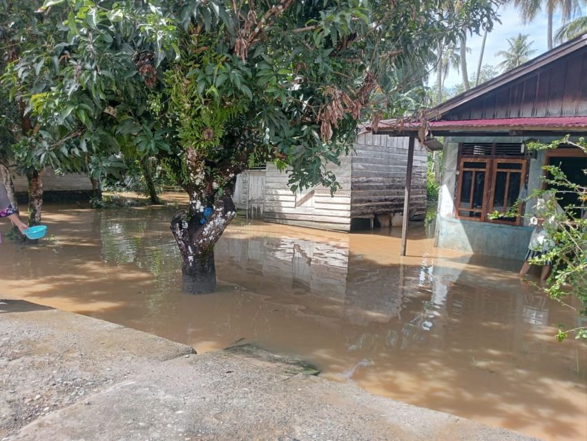 Bronjong Pembatas Sungai Jebol, Ratusan Rumah Hingga Sawah Terendam Banjir di Barus