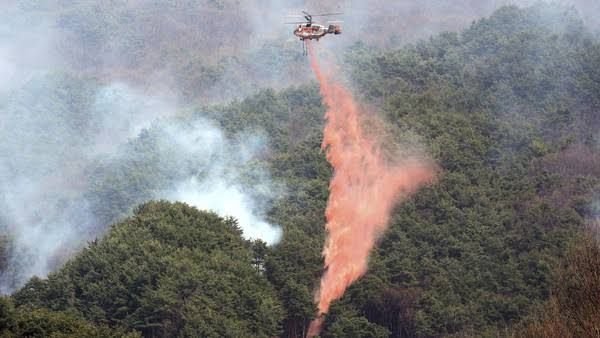 Helikopter Pemadam Kebakaran Jatuh, 1 Pilot Tewas