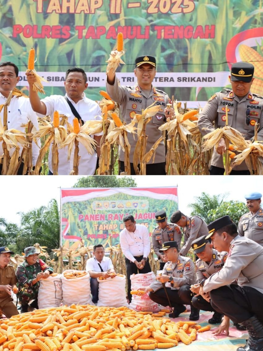 Polres Tapanuli Tengah Panen Raya Jagung di Sibabangun