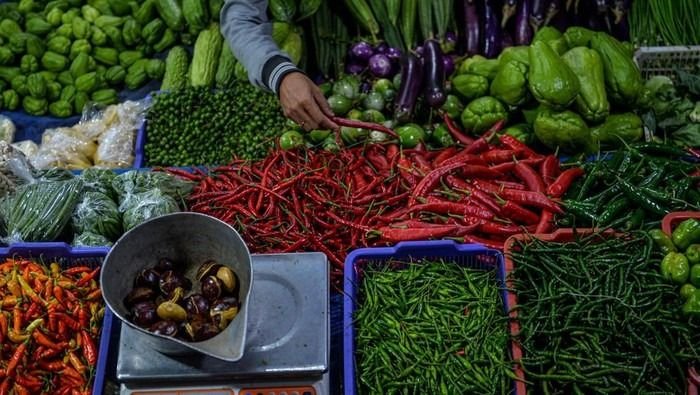 Daya Beli Petani Sumut Melemah, Harga Komoditas Hortikultura dan Perkebunan Anjlok
