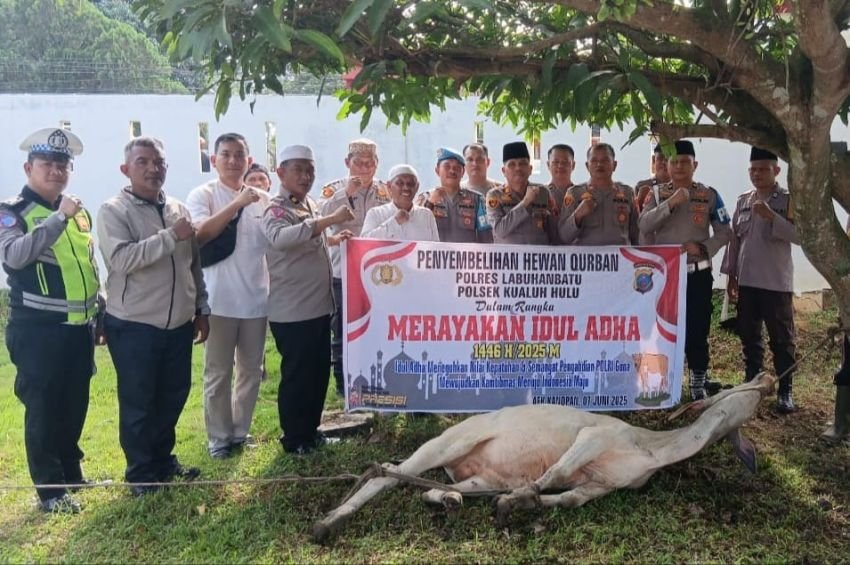 Idul Adha 1446 H, Polsek Kualuh Hulu Sembelih Dua Lembu
