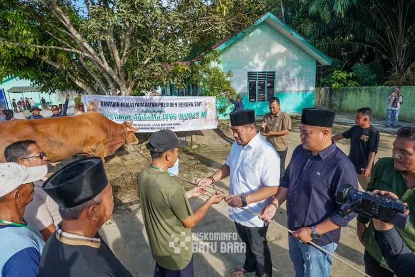 Bupati Batubara Serahkan Sapi Kurban Presiden
