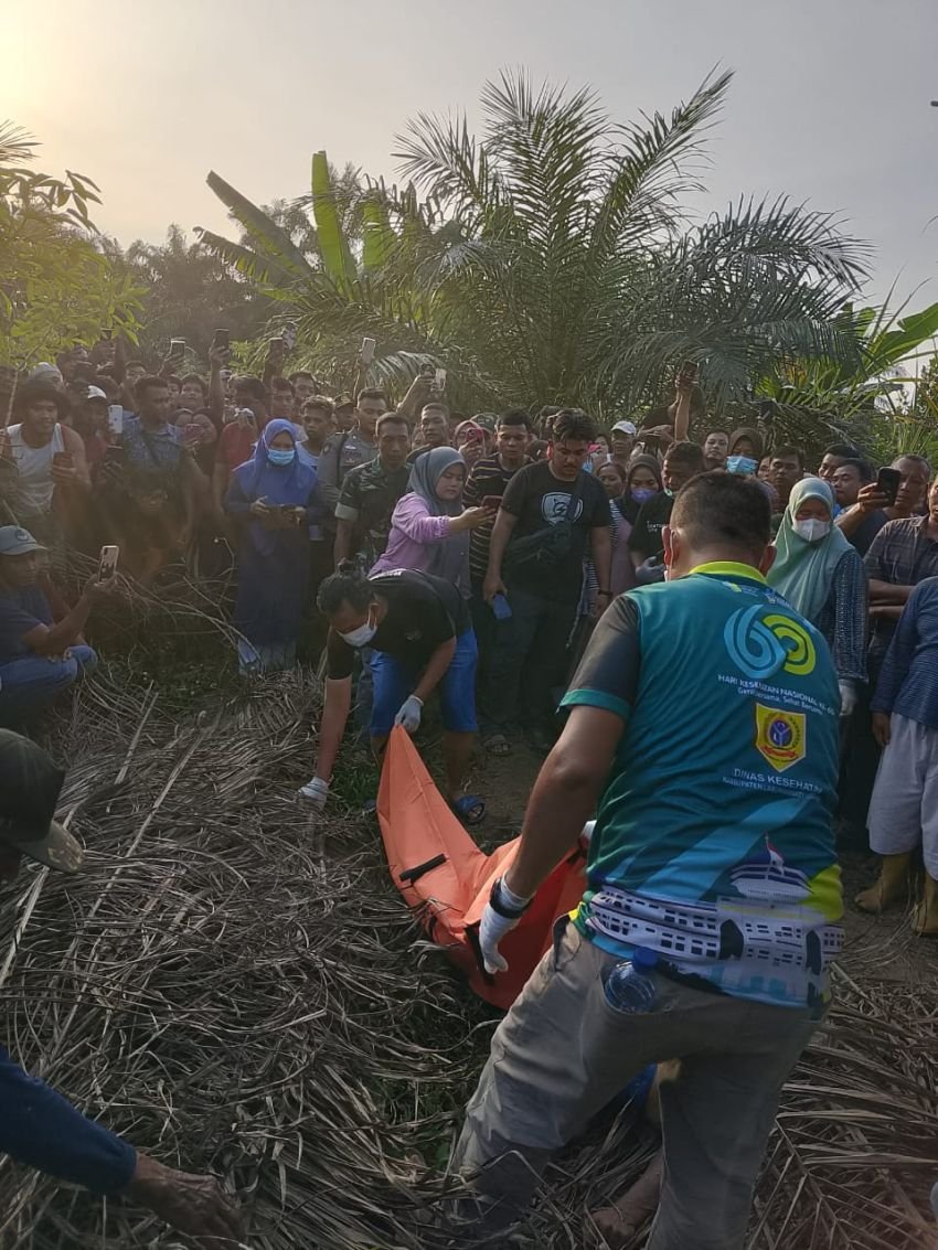 Penjaga Kebun di Silangkitang Ditemukan Tewas Dalam Tumpukan Pelepah