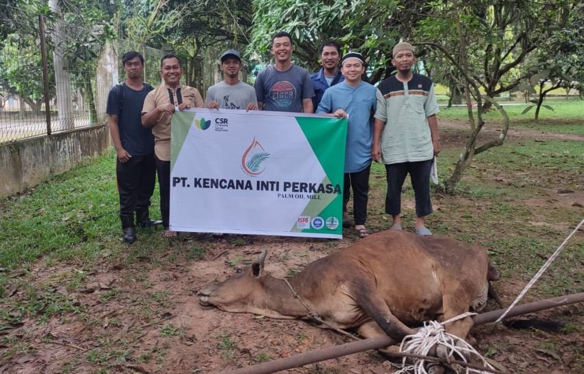Idul Adha 1446 H, PT KIP Kampungpajak Sembelih Dua Lembu, Serahkan Tiga Kambing