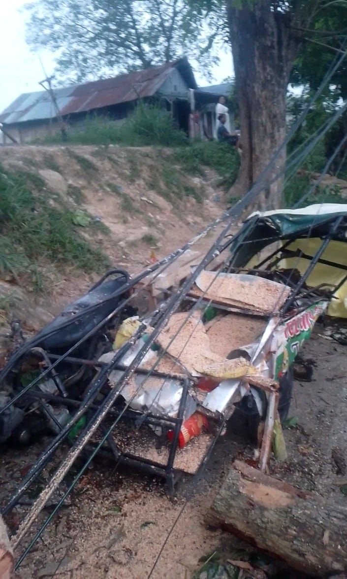 Pohon Tumbang di Marelan, Gerobak Pedagang Telur Gulung Ringsek