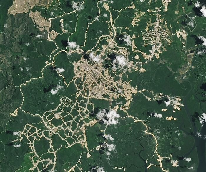 NASA Rilis Citra Satelit IKN, Tunjukkan Perubahan Signifikan di Tengah Hutan Kalimantan
