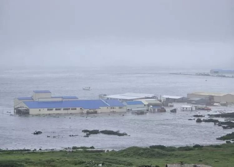 Diguncang Gempa M 8,7, Tsunami Terjang Rusia
