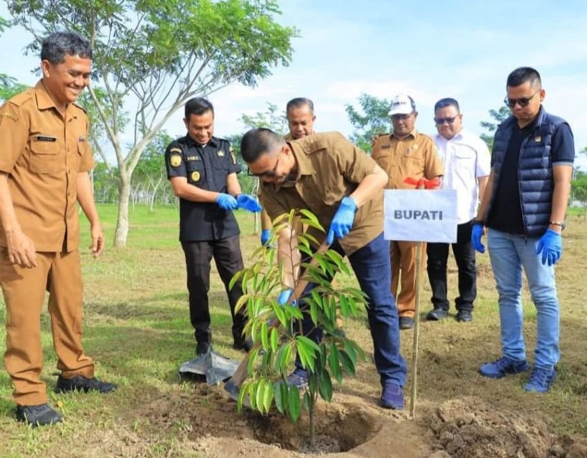 Sambut HUT ke-17 Labura, DLH Tanam Pohon di Alun-alun Aekkanopan