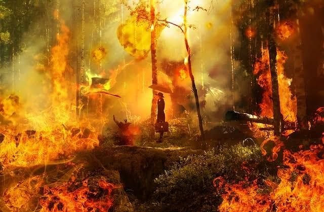 Cuaca Ekstrim, Masyarakat Diminta Waspadai Kebakaran Hutan