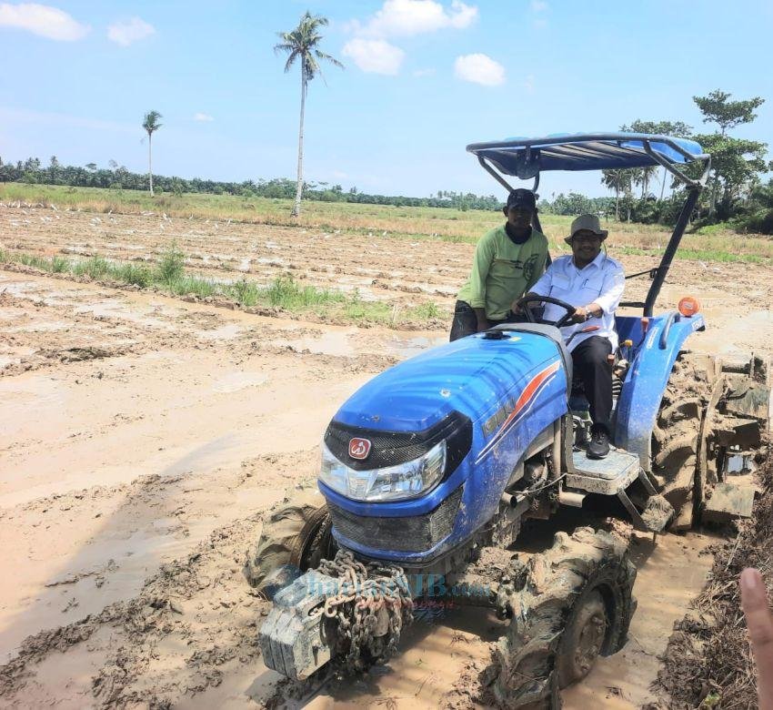 Keberhasilan Program Oplah Jadikan Sergai Lumbung Beras di Sumut