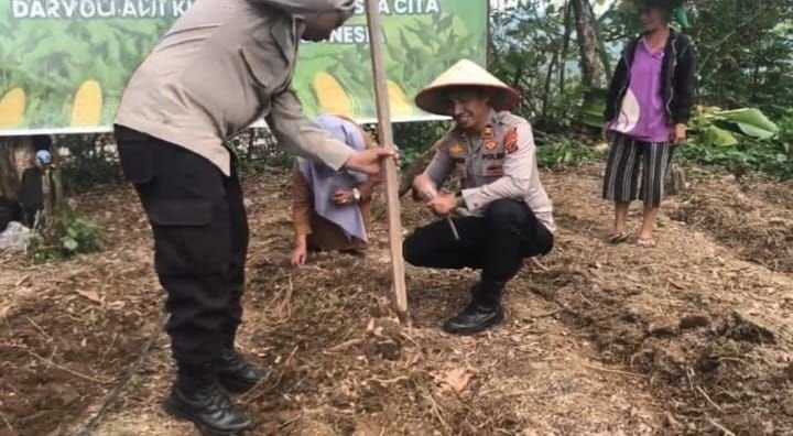 Dukung Program Ketapang, Kapolsek Sambas Tanam Jagung di Bukit Herek
