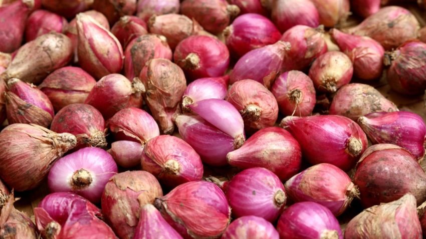 Pengamat: Swasembada Jadi Kunci Kendalikan Harga Bawang Merah di Sumut