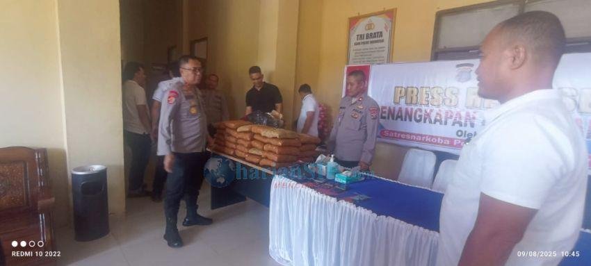 Polres Padang Lawas Tangkap Jaringan Pengedar Ganja Lintas Provinsi