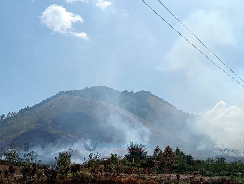 Kawasan Hutan Tanduk Benua di Simalungun Terbakar